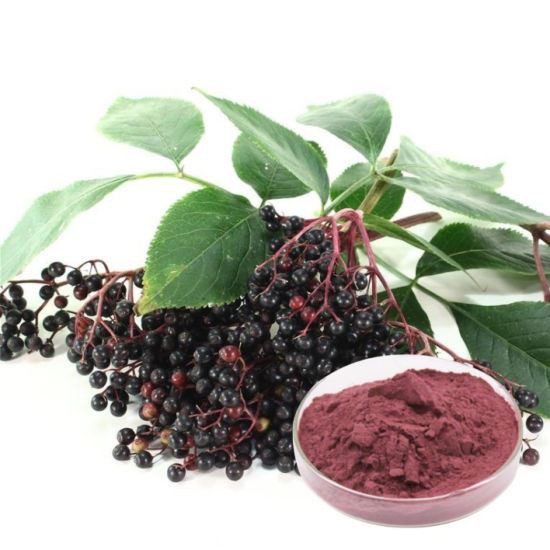 Sliocht Orgánach Elderberry