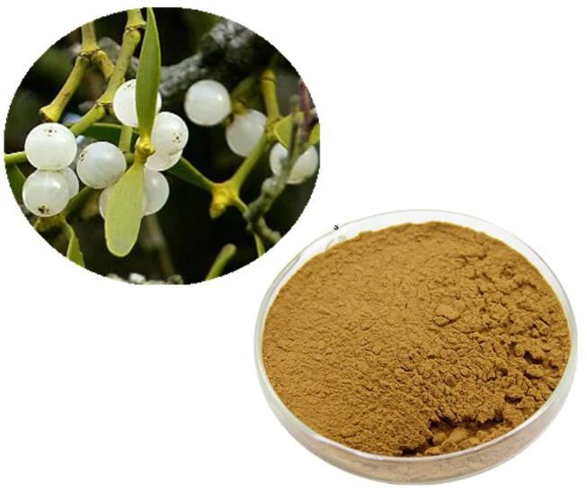 Sliocht Mistletoe