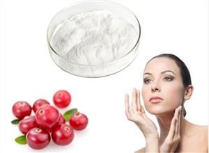 Sliocht Bearberry Orgánach